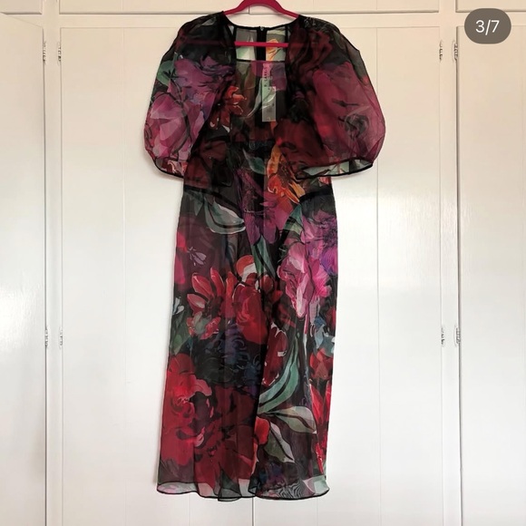 Mr. Larkin Lexi Organza Sheer Floral Maxi Dress NWT M - Picture 2 of 5